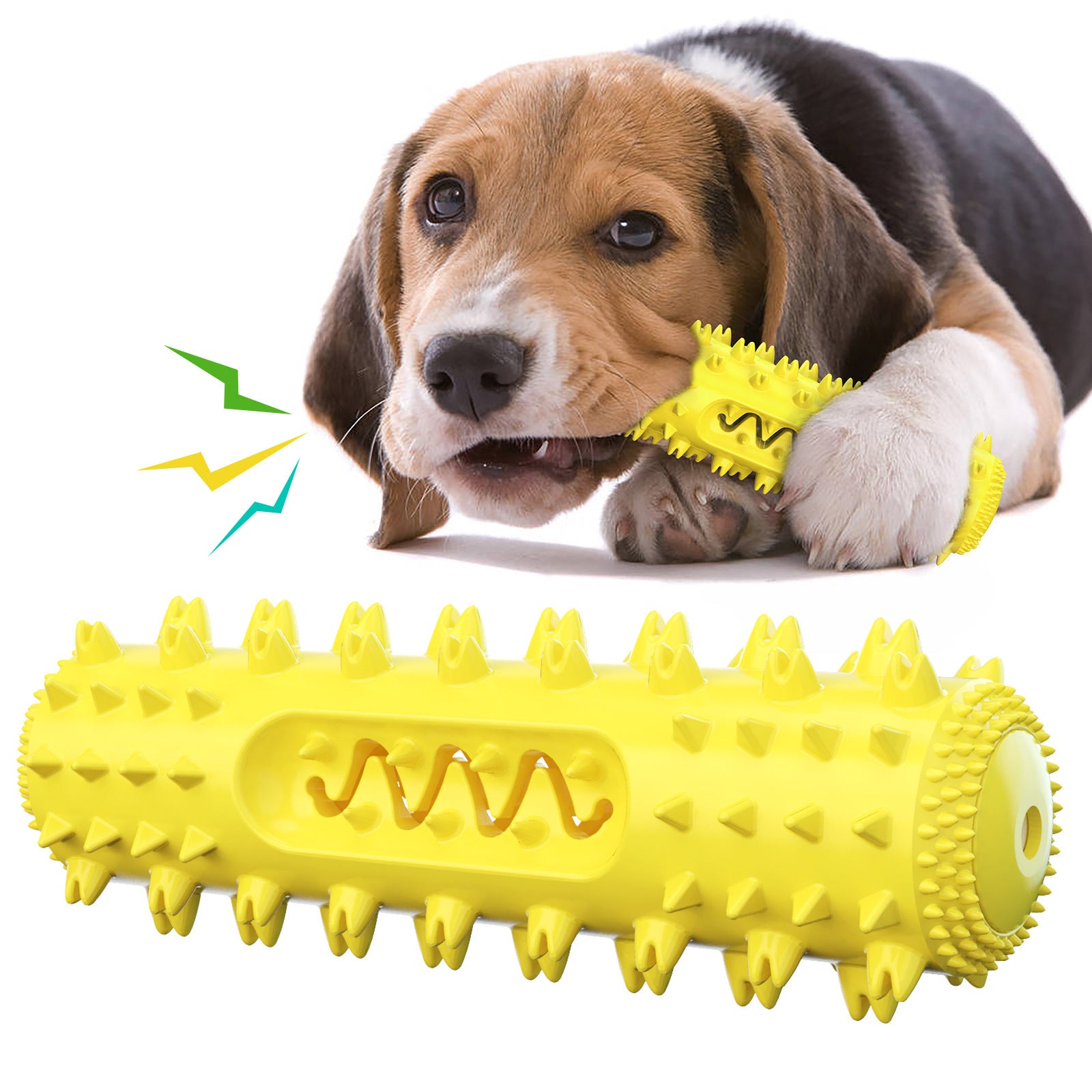 Squeaky Dental Dog Toy