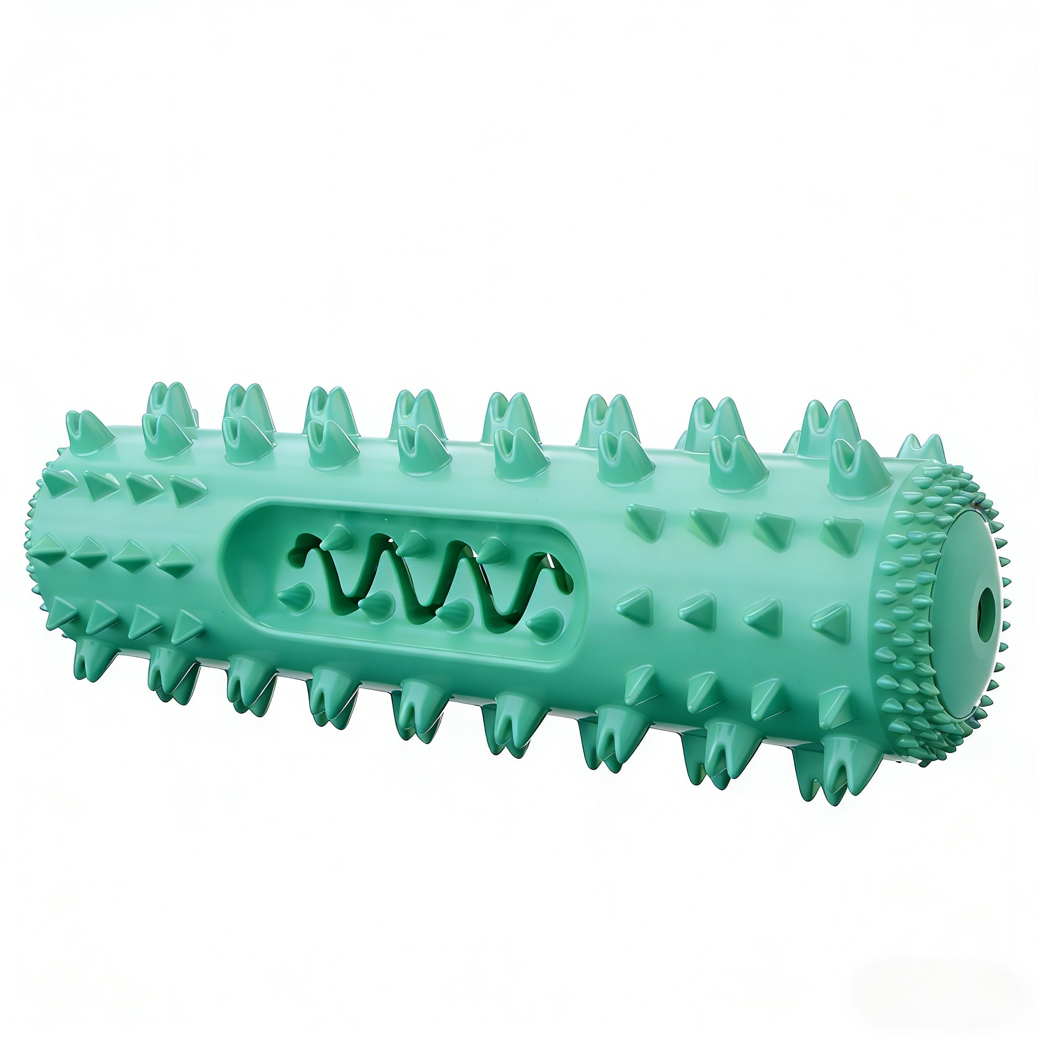 Squeaky Dental Dog Toy