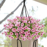 6 Bundles of Pink / 126 flowers