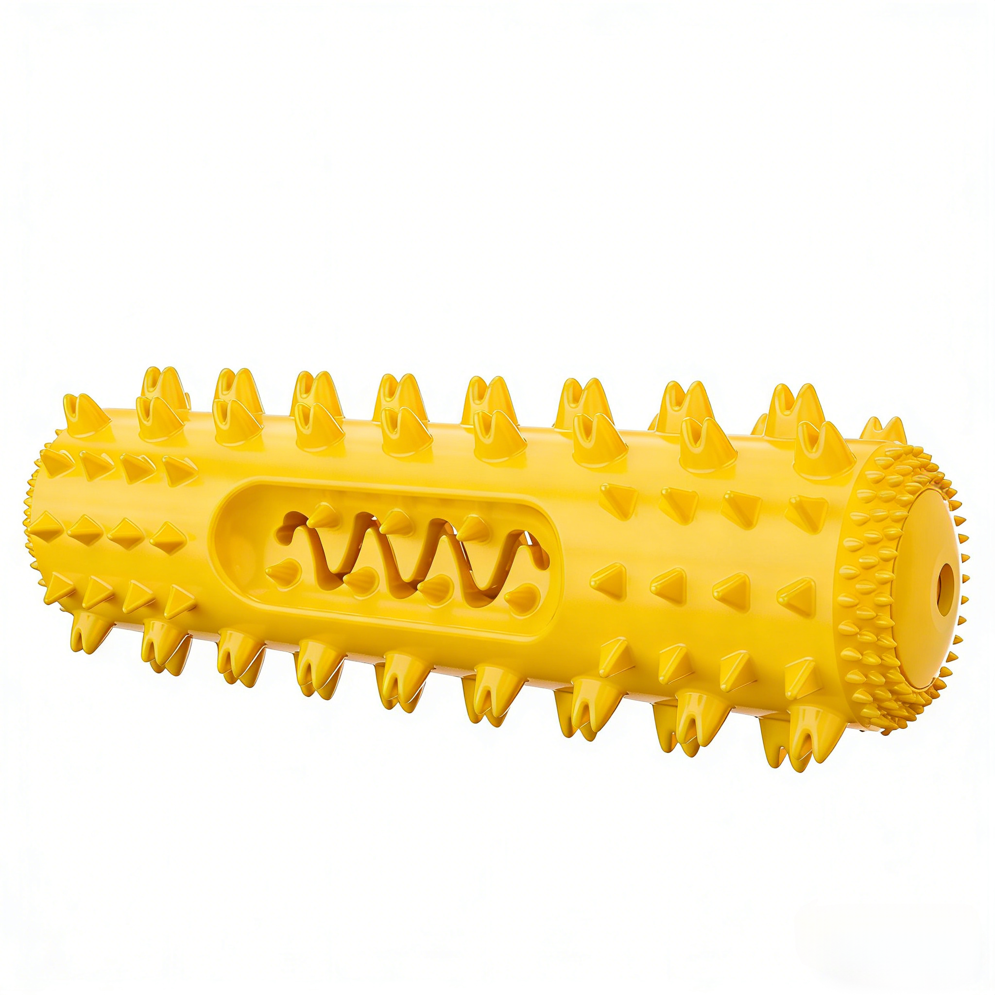 Squeaky Dental Dog Toy
