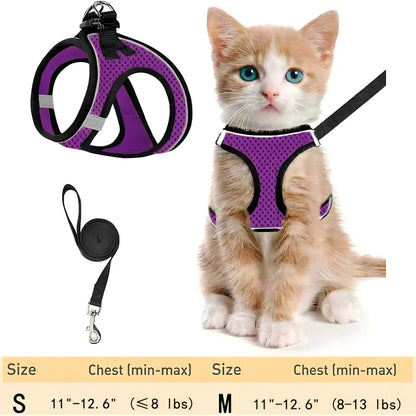 Cat Harness