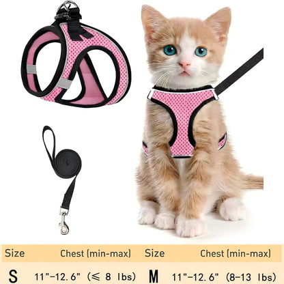 Cat Harness