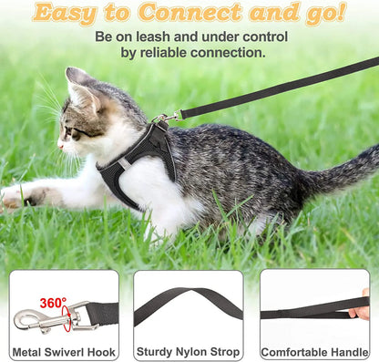 Cat Harness