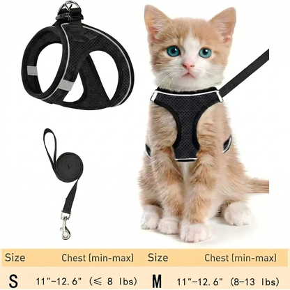 Cat Harness