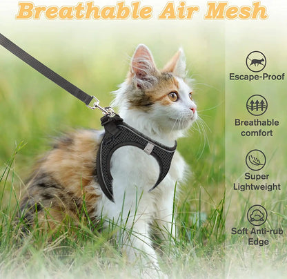 Cat Harness