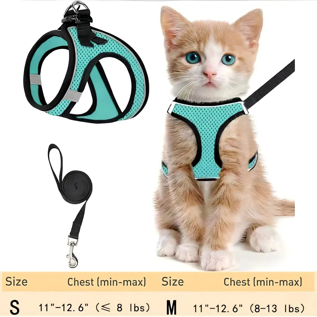 Cat Harness