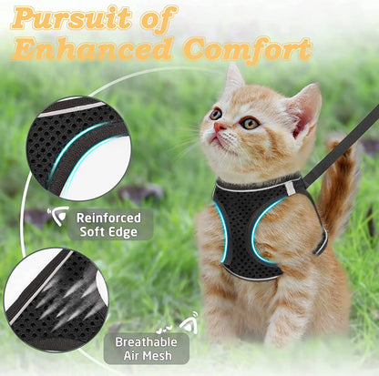 Cat Harness