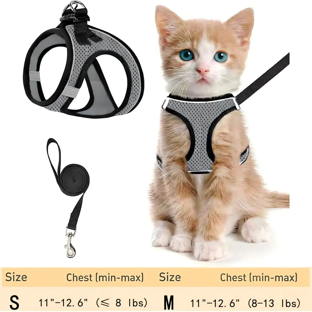 Cat Harness