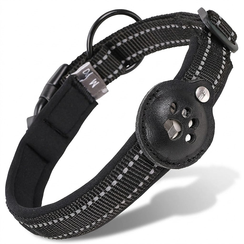 Dog Collar with Tracker Holder
